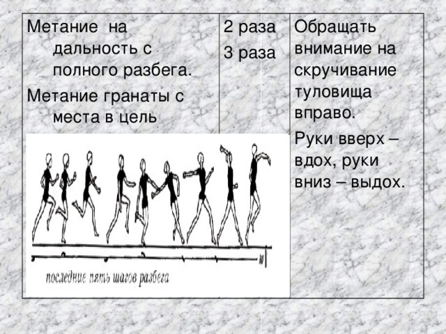 Ширина коридора для метания мяча и гранаты с места и с разбега составляет