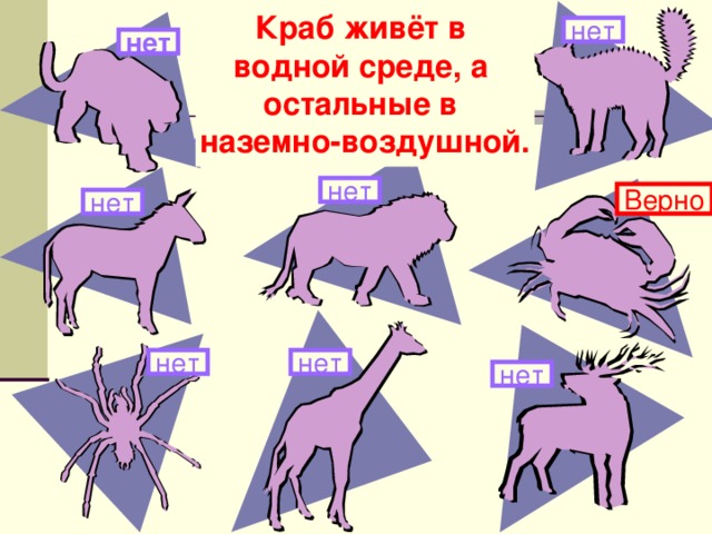 Краб живёт в водной среде, а остальные в наземно-воздушной. Здесь изображены животные. Какое из них живёт в другой среде обитания? нет нет нет Верно нет нет нет нет 