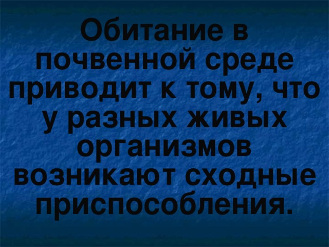 Обитание в почвенной среде приводит к тому, что у разных живых организмов возникают сходные приспособления. 