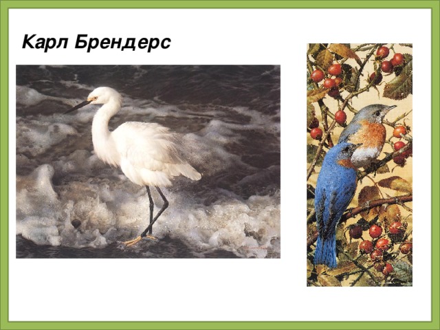 Карл Брендерс