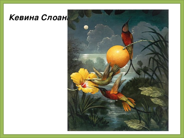 Кевина Слоана