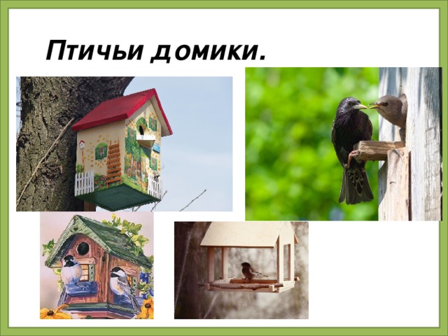 Птичьи домики.
