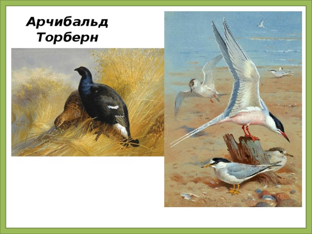 Арчибальд Торберн