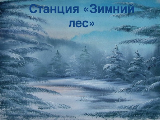 Станция «Зимний лес» 