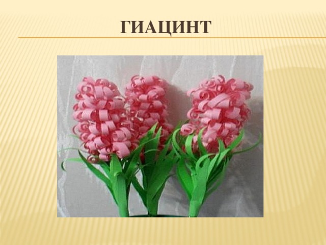 Гиацинт 