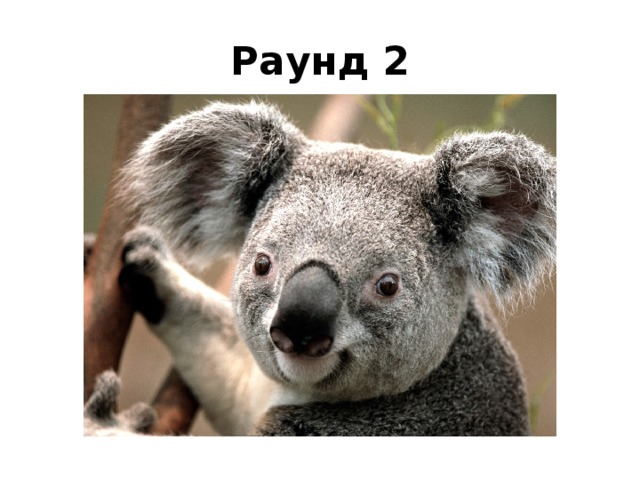 Раунд 2 