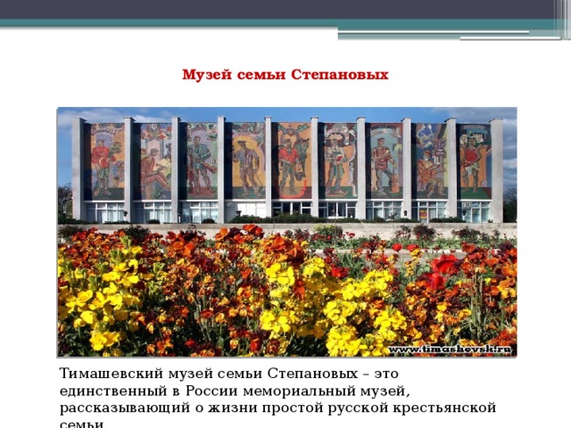 Семья степановых презентация