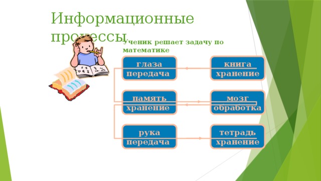 Информационные процессы Ученик решает задачу по математике книга  хранение глаза  передача память  хранение мозг  обработка рука  передача тетрадь  хранение