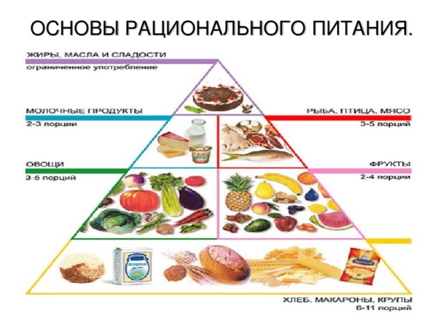 ОСНОВЫ РАЦИОНАЛЬНОГО ПИТАНИЯ. 