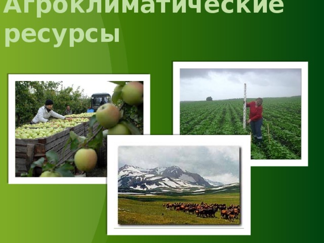 Агроклиматические ресурсы 