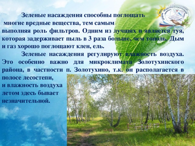  Зеленые насаждения способны поглощать  многие вредные вещества, тем самым выполняя роль фильтров. Одним из лучших и является туя, которая задерживает пыль в 3 раза больше, чем тополь. Дым и газ хорошо поглощают клен, ель.  Зеленые насаждения регулируют влажность воздуха. Это особенно важно для микроклимата Золотухинского района, в частности п. Золотухино, т.к. он располагается в полосе лесостепи, и влажность воздуха летом здесь бывает незначительной. 