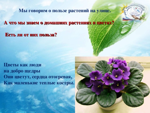  Мы говорим о пользе растений на улице.  А что мы знаем о домашних растениях и цветах?   Есть ли от них польза?     Цветы как люди  на добро щедры  Они цветут, сердца отогревая,  Как маленькие теплые костры. 