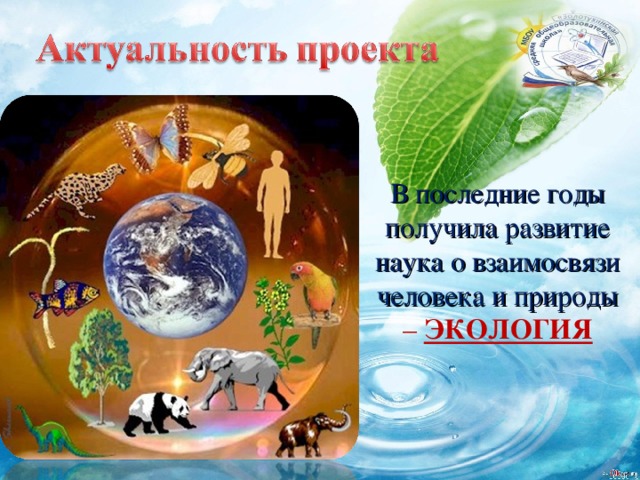 В последние годы получила развитие наука о взаимосвязи человека и природы – ЭКОЛОГИЯ 