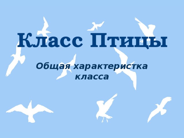 Класс Птицы Общая характеристка класса  