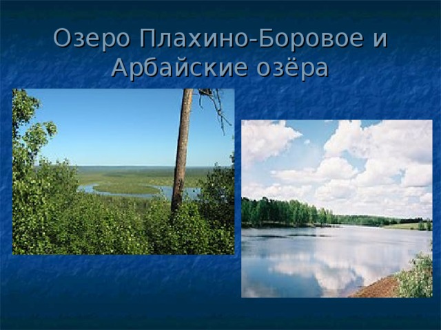 Озеро Плахино-Боровое и Арбайские озёра 