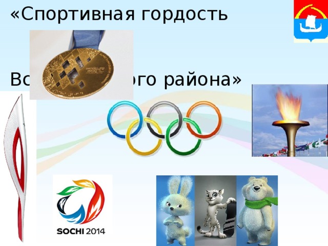 «Спортивная гордость  Всеволожского района» 