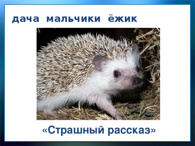дача мальчики ёжик «Страшный рассказ» 