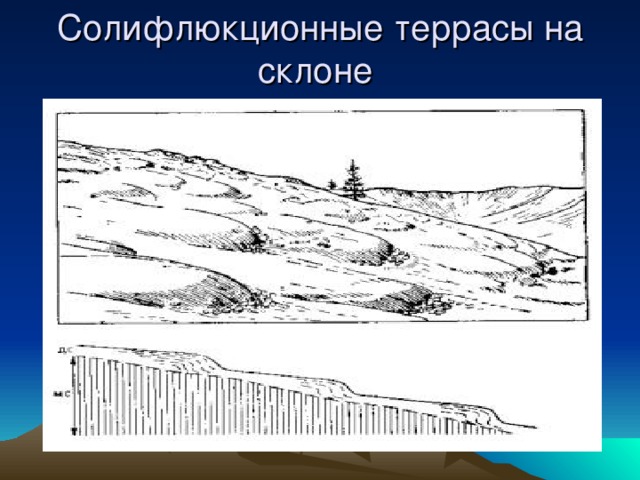 Солифлюкционные террасы на склоне 