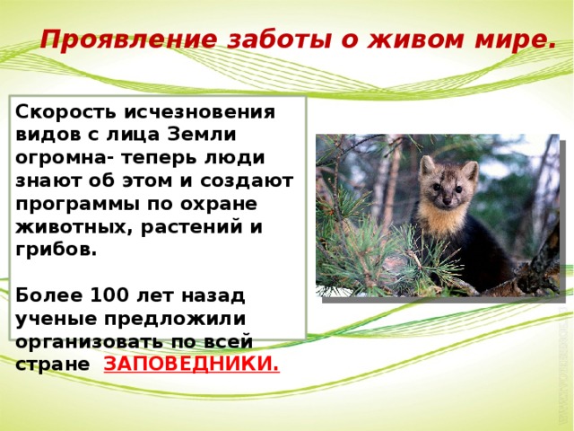 Презентация на тему важность охраны живого мира планеты 5 класс