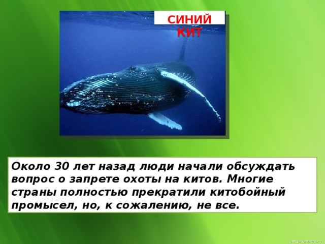 Презентация по биологии 5 класс важность охраны живого мира планеты пономарева