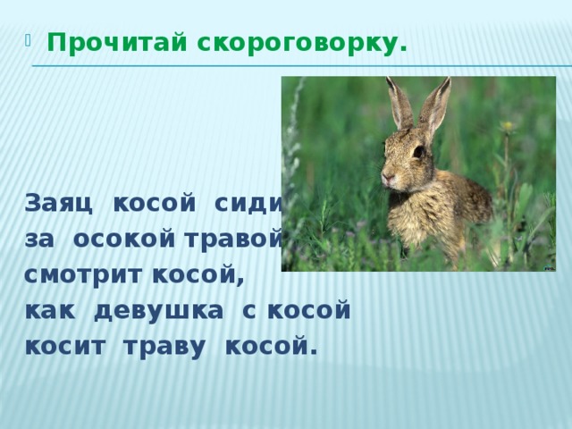 Прочитай скороговорку. Заяц косой сидит за осокой травой, смотрит косой, как девушка с косой косит траву косой. 