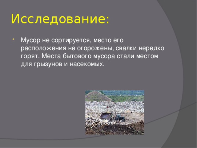 Исследование: Мусор не сортируется, место его расположения не огорожены, свалки нередко горят. Места бытового мусора стали местом для грызунов и насекомых. 