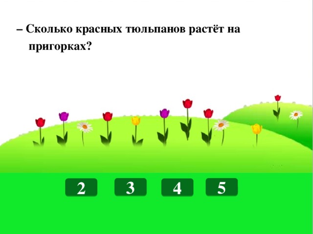 – Сколько красных тюльпанов растёт на  пригорках? 3 5 2 4