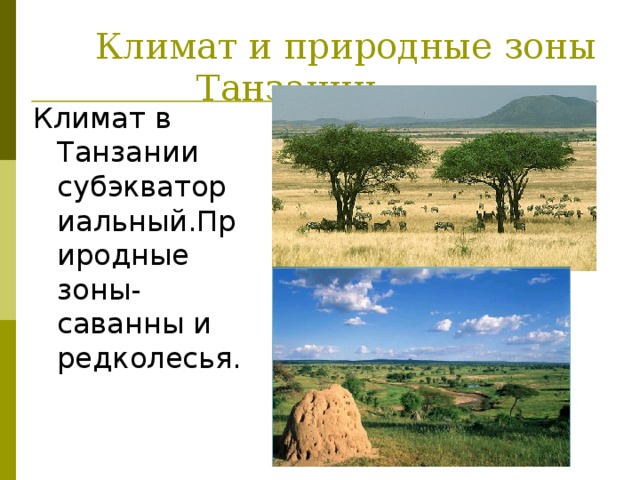  Климат и природные зоны Танзании Климат в Танзании субэкваториальный.Природные зоны-саванны и редколесья. 