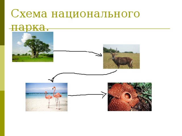 Схема национального парка. 