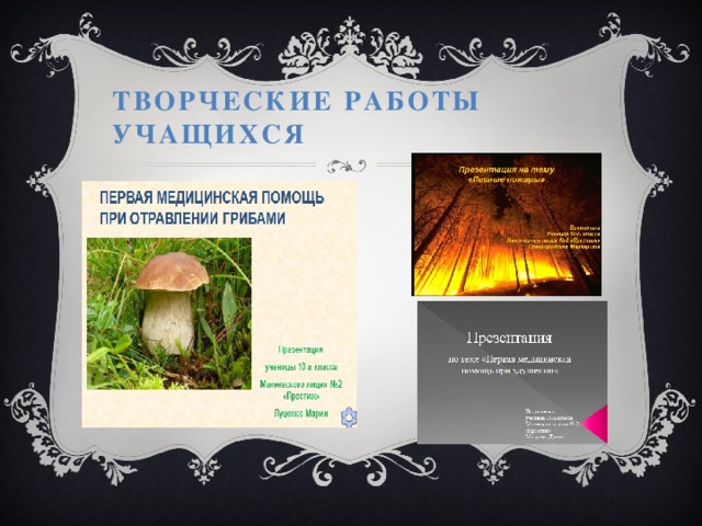 Творческие работы учащихся 