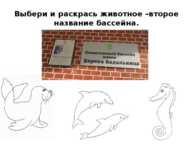 Выбери и раскрась животное –второе название бассейна. 