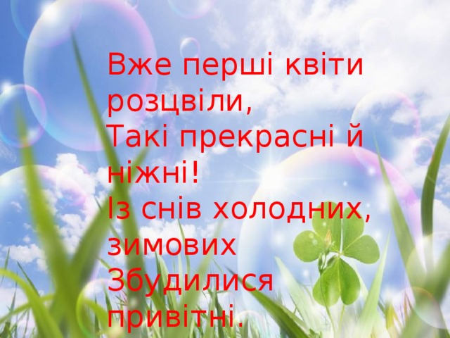 Вже перші квіти розцвіли, Такі прекрасні й ніжні! Із снів холодних, зимових Збудилися привітні. 