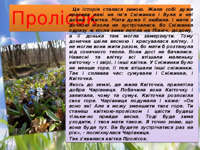 Пролісок  Ця історія сталася зимою. Жила собі дуже красива пані на ім’я Сніжинка і була в неї дочка - Квітка. Мати дуже її любила. І мати з дочкою ніколи не зустрічалися, бо Сніжинка одразу ж після зими летіла на Північ, додому, а її донька там могла замерзнути. Тому донечка цвіла весною і красувалася влітку. І не могли вони жити разом, бо мати б розтанула від сонячного тепла. Вони досі не бачилися. Навесні та влітку всі втішали маленьку квіточку – і звірі, і інші квітки. У Сніжинки було не менше горе, її теж втішали інші сніжинки. Так і спливав час: сумували і Сніжинка, і Квіточка. Якось до землі, де жила Квіточка, прилетіла добра Чарівниця. Побачила вона Квіточку і запитала, чому та сумує. Квіточка розповіла своє горе. Чарівниця подумала і каже: «Он воно як! Але я можу зменшити твоє горе. Ти станеш квіткою-проліском і цвісти будеш тільки-но прийде весна. Тоді буде зима уходити, і твоя мати також. Я точно знаю, що вона буде тут. Ви будете зустрічатися раз на рік», - посміхнулася Чарівниця. Так з'явилася квітка Пролісок. 