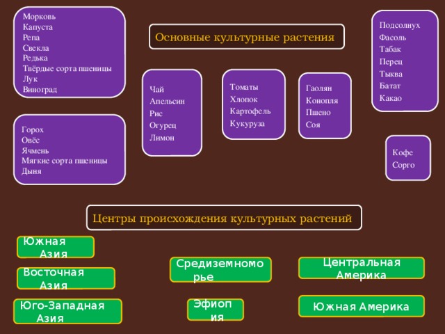 Морковь Капуста Репа Свекла Редька Твёрдые сорта пшеницы Лук Виноград Подсолнух Фасоль Табак Перец Тыква Батат Какао Основные культурные растения Томаты Чай Апельсин Хлопок Картофель Рис Кукуруза Огурец Лимон Гаолян Конопля Пшено Соя Горох Овёс Ячмень Мягкие сорта пшеницы Дыня Кофе Сорго Центры происхождения культурных растений Южная Азия Средиземноморье Центральная Америка Восточная Азия Южная Америка Эфиопия Юго-Западная Азия