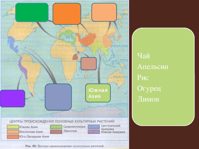 Чай Апельсин Рис Огурец Лимон Южная Азия