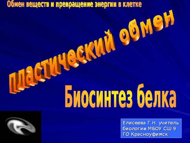 Одним из центральных процессов метаболизма клетки, связанных с потоком вещества, энергии и информации, является биосинтез белка-формирование сложной молекулы белка-полимера из мономеров аминокислот. Елисеева Г.Н. учитель биологии МБОУ СШ 9 ГО Красноуфимск