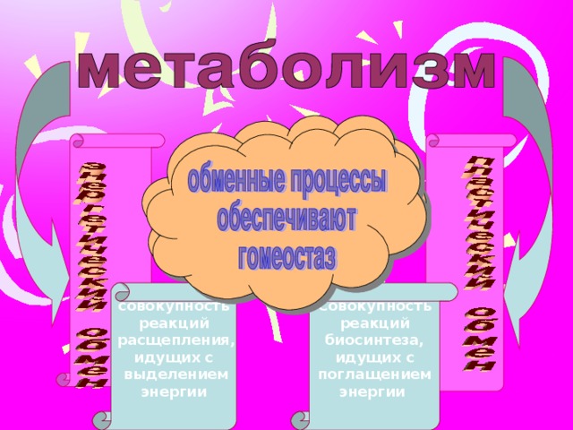 Благодаря своему разнообразию и функциональной активности белки являются основой видовой и индивидуальной специфичности.