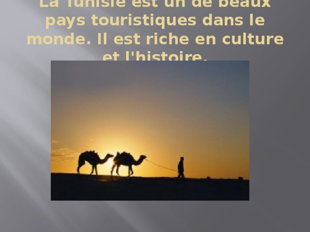 La Tunisie est un de beaux pays touristiques dans le monde. Il est riche en culture et l'histoire. 