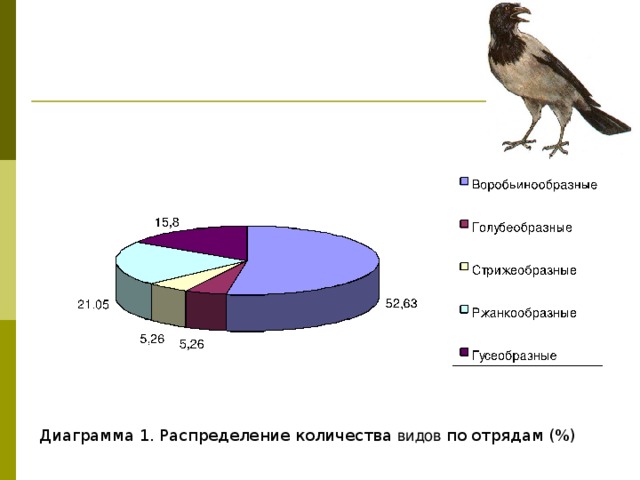 Диаграмма видов животных на земле
