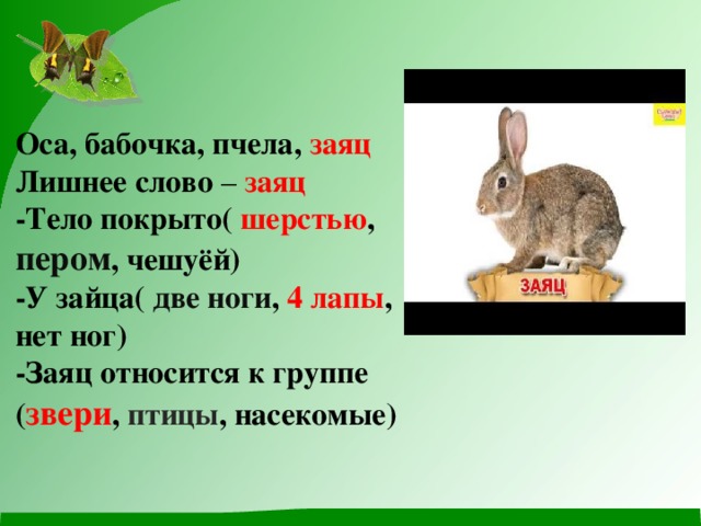 Оса, бабочка, пчела, заяц  Лишнее слово – заяц  -Тело покрыто( шерстью , пером , чешуёй)  -У зайца( две ноги , 4 лапы , нет ног)  -Заяц относится к группе  ( звери , птицы , насекомые) 