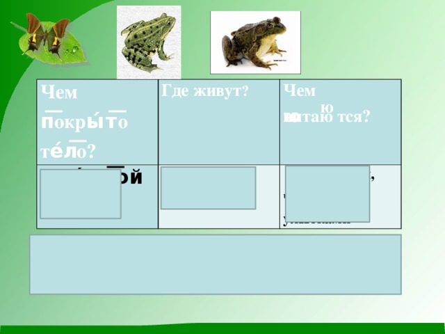 Чем п͞окры́т͞о те́л͞о? Где живут ?   вла ́ жн ͞ ой ко ́ жей Чем питаю͞тся?   живут там, где всегда сы́ро   насеко́мыми, червя́ми, ули́тками Эт ͞ о зем-н ͞ о-во ́ д-ны-е, п ͞ от ͞ ому ͞ что живу ́ т на ͜ земле ́ и в в ͞ оде ́  . 