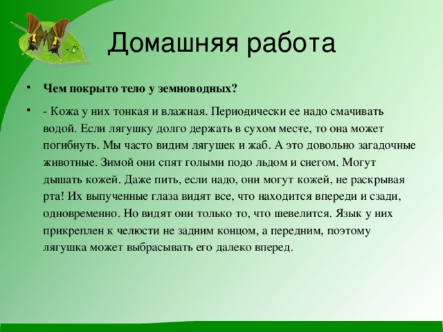 Домашняя работа Чем покрыто тело у земноводных? - Кожа у них тонкая и влажная. Перио­дически ее надо смачивать водой. Если лягушку долго держать в сухом мес­те, то она может погибнуть. Мы часто видим лягушек и жаб. А это довольно загадочные животные. Зимой они спят голыми подо льдом и снегом. Могут дышать кожей. Даже пить, если надо, они могут кожей, не раскрывая рта! Их выпученные глаза видят все, что находится впереди и сзади, одновременно. Но видят они только то, что шевелится. Язык у них прикреплен к челюсти не задним концом, а передним, поэтому лягушка может выбрасывать его далеко вперед. 