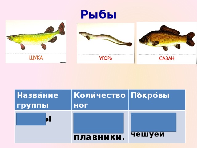 Рыбы Назва ́ ние группы Рыбы Коли ́ чество ног П ͞ окро ́ вы Ног нет. Есть плавники. Тело покрыто чешуёй  