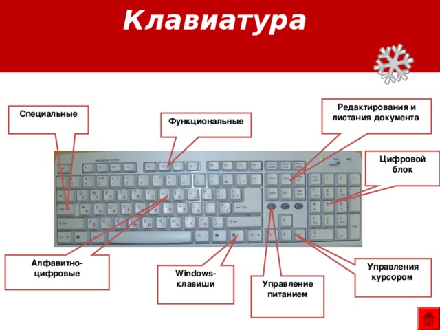 Клавиатура Редактирования и листания документа Специальные Функциональные  Цифровой блок  Алфавитно-цифровые Управления курсором Windows- клавиши Управление питанием 