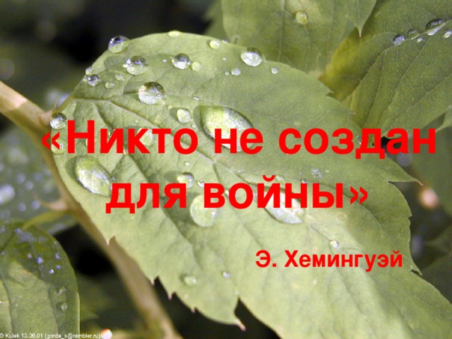 Войну никто не хочет. Никто не создан для войны. Картинка никто не создан для войны. Никто не создан для войны классный час. Никто не создан для войны презентация.