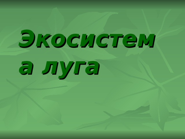 Экосистема луга  