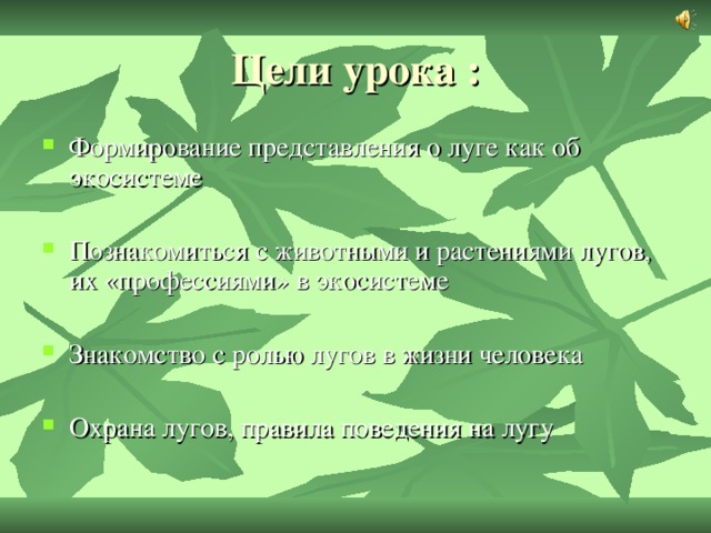 Формирование представления о луге как об экосистеме Познакомиться с животными и растениями лугов, их «профессиями» в экосистеме Знакомство с ролью лугов в жизни человека Охрана лугов, правила поведения на лугу 