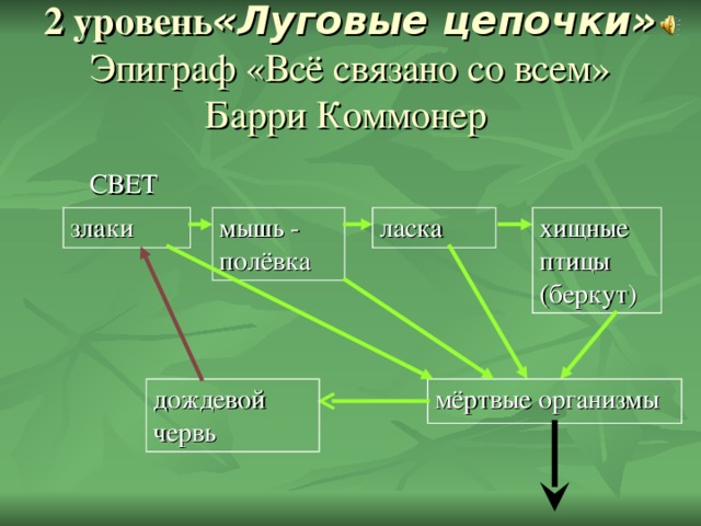 2 уровень «Луговые цепочки»  Эпиграф «Всё связано со всем»  Барри Коммонер  СВЕТ хищные птицы (беркут) ласка мышь - полёвка злаки мёртвые организмы дождевой червь 