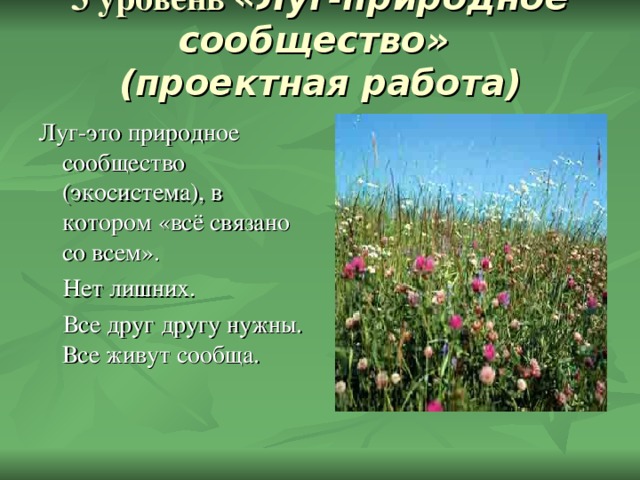 3 уровень «Луг-природное сообщество»  (проектная работа)   Луг-это природное сообщество (экосистема), в котором «всё связано со всем».  Нет лишних.  Все друг другу нужны. Все живут сообща. 
