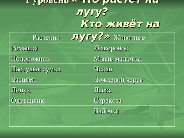 1 уровень «Что растёт на лугу?  Кто живёт на лугу?»   Растения  Животные Ромашка Жаворонок Подорожник Мышь-малютка Пастушья сумка Чекан Василёк Дождевой червь Лопух Ласка Одуванчик Стрекоза Бабочка 